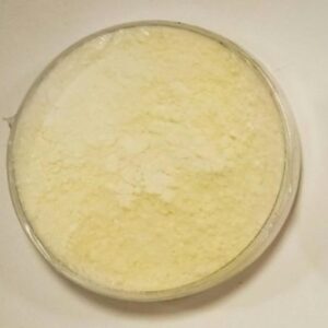 Goma Xanthan 100g